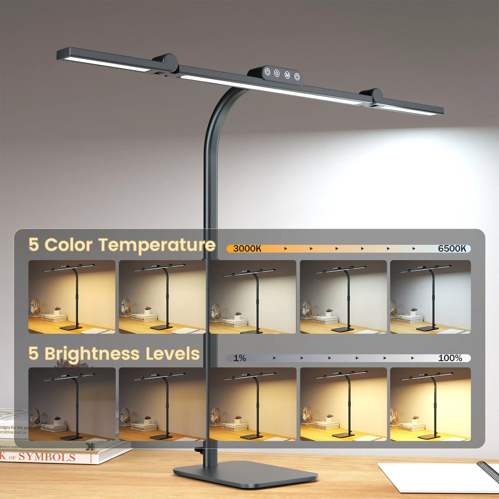 Architect Gooseneck Desk Lamp